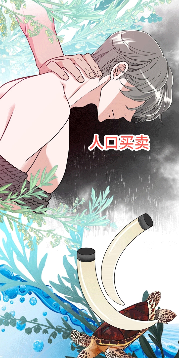 漫画《花样间谍》在线完整版阅读_花样间谍漫画（无弹窗）