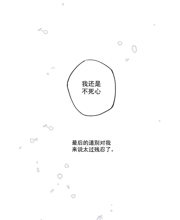 漫画《唯一的目光》在线阅读_唯一的目光漫画（无弹窗）