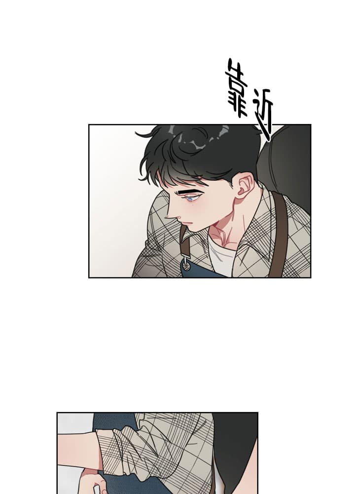 漫画《冰糖》在线阅读_甜蜜与冷酷漫画（无弹窗）