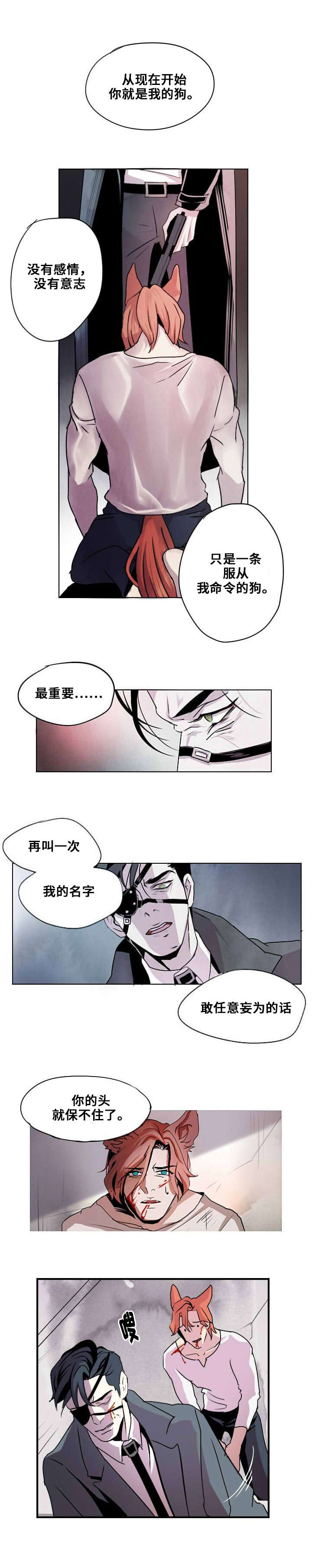 《堕落》全本第一章阅读_堕落完整版