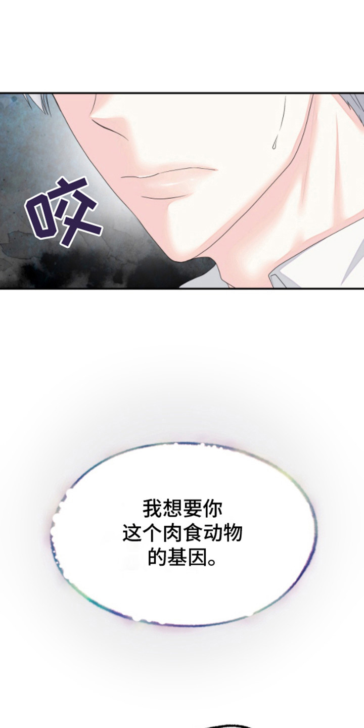 漫画《白兔为伴》在线完整版阅读_白兔为伴漫画（无弹窗）