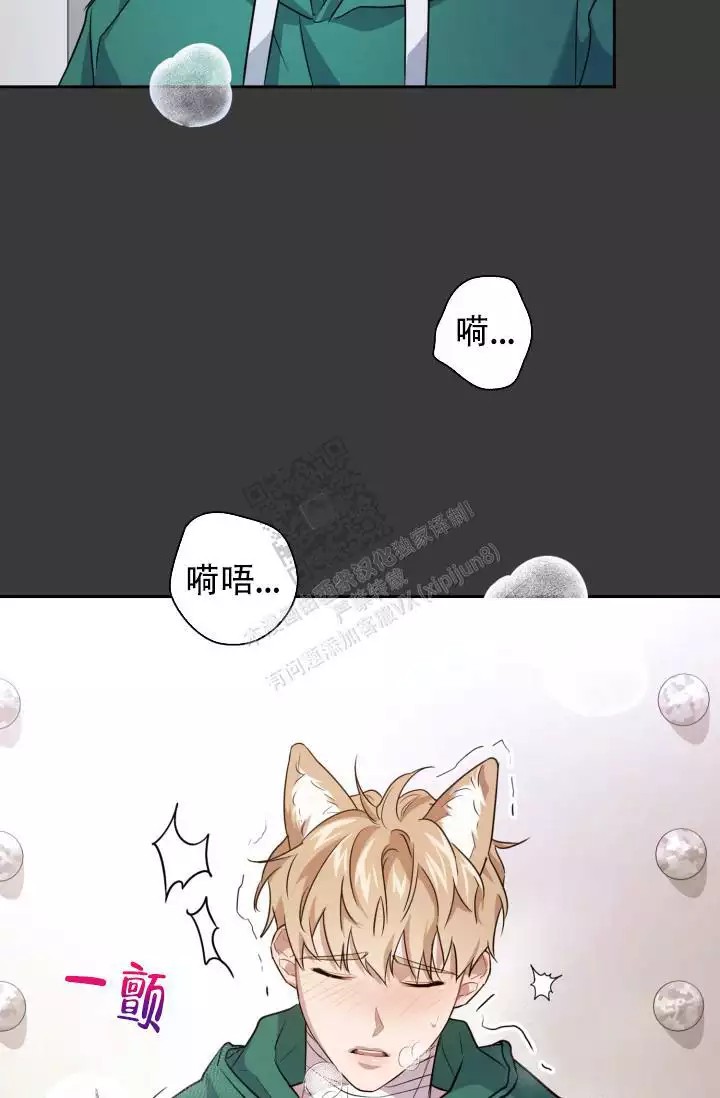 漫画《诱饵》在线阅读_兽现文字漫画（无弹窗）