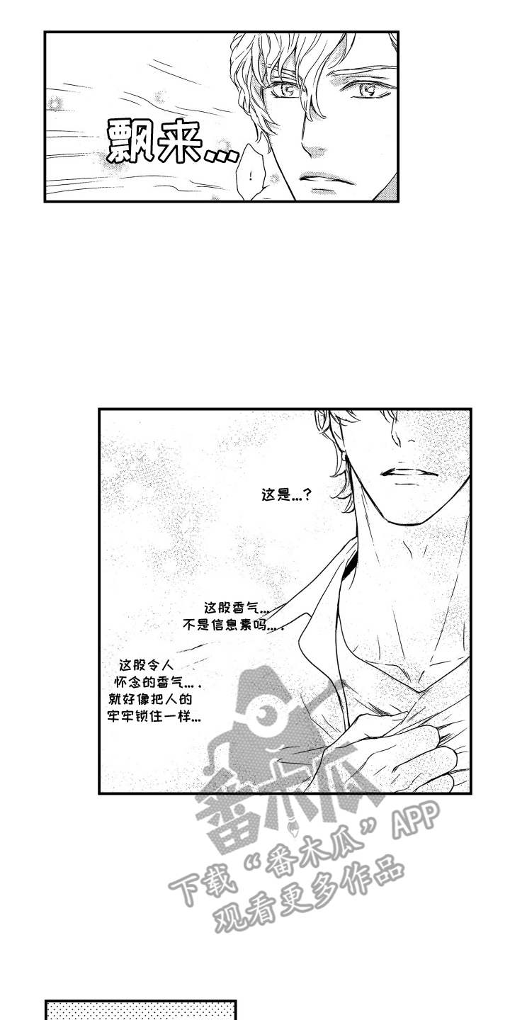 西柚《阿尔法婚礼计划》漫画在线下拉_阿尔法婚礼计划漫画浮云（下拉式阅读）