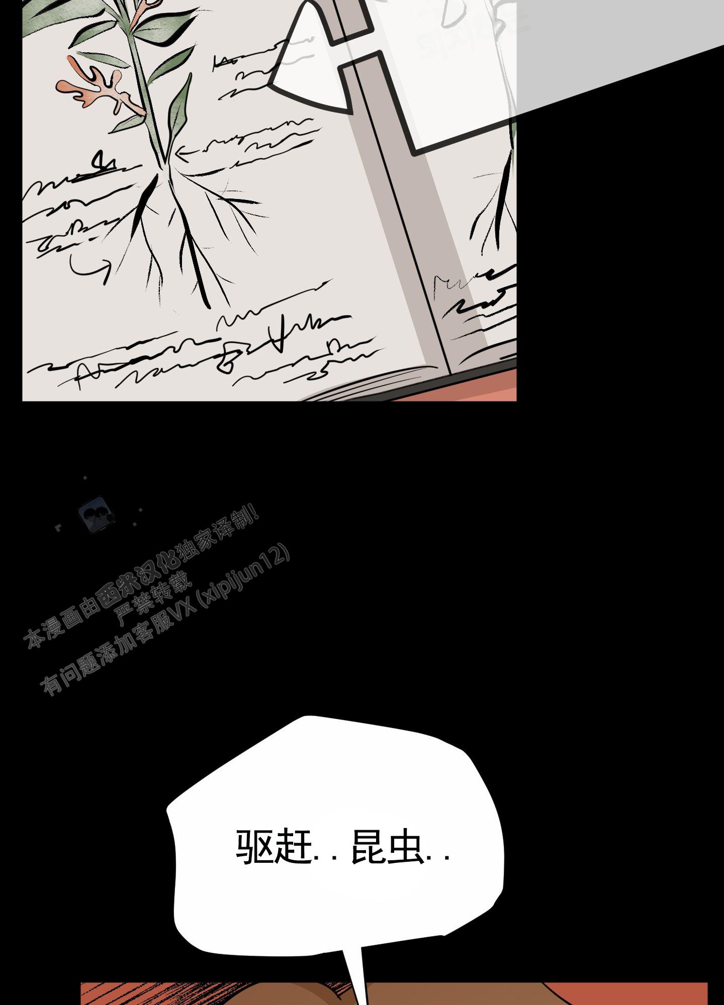 漫画《无名之花》在线完整版阅读_无名之花漫画（无弹窗）