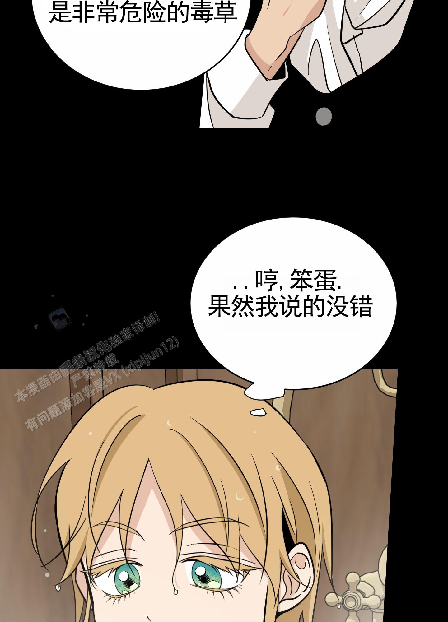 漫画《无名之花》在线完整版阅读_无名之花漫画（无弹窗）