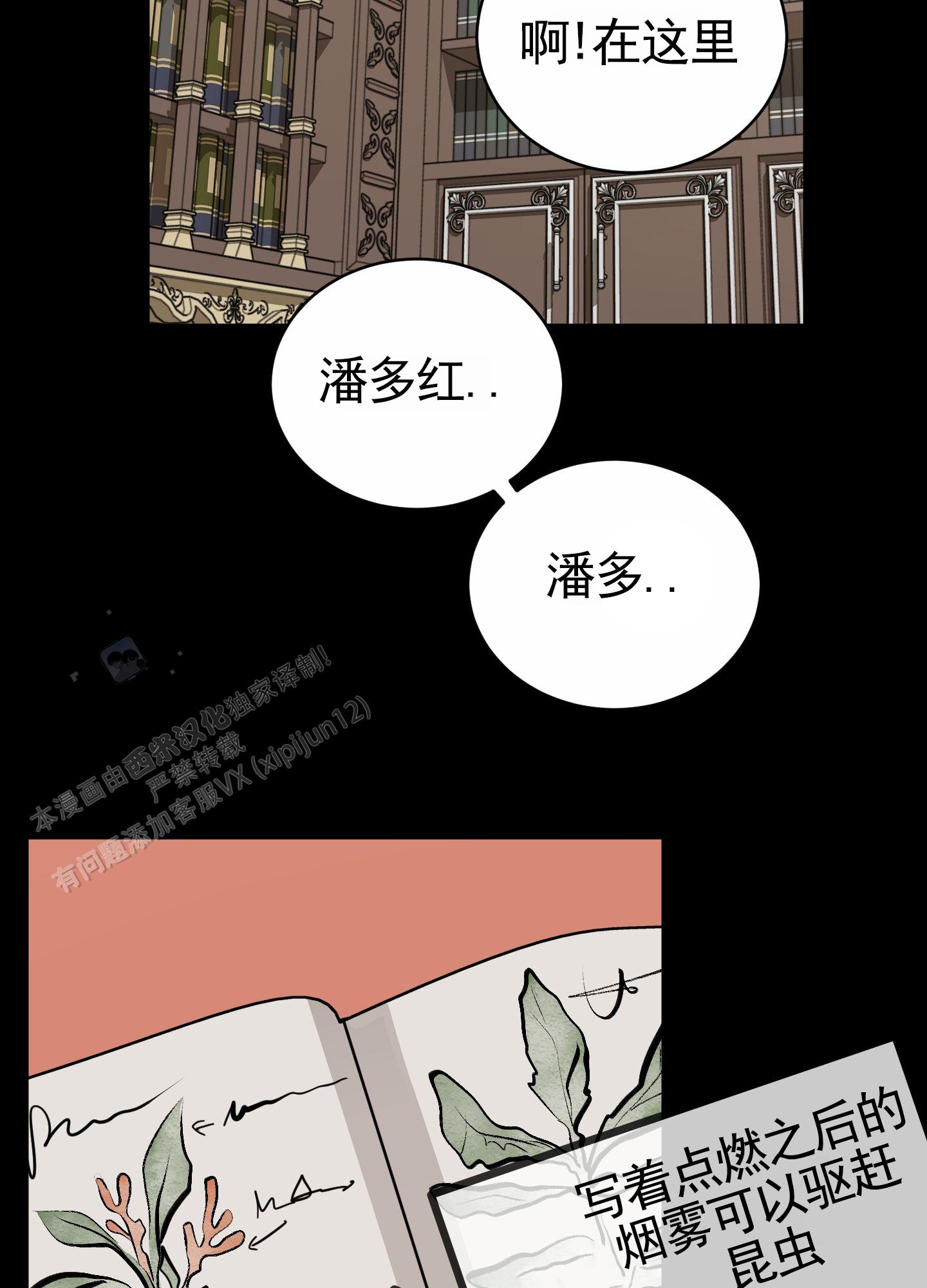 漫画《无名之花》在线完整版阅读_无名之花漫画（无弹窗）