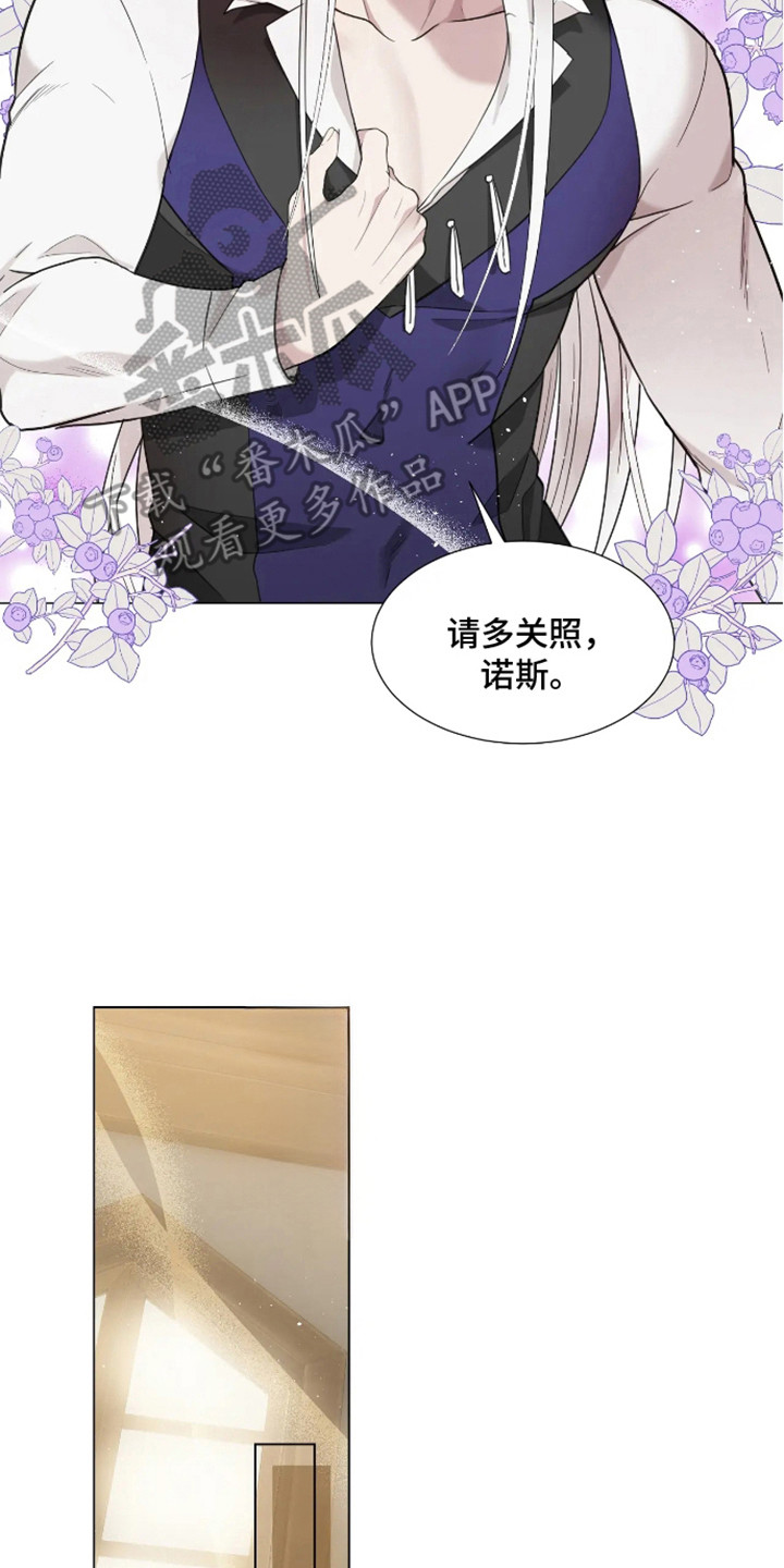 西柚《魔塔契约》漫画在线下拉_魔塔契约漫画浮云（下拉式阅读）