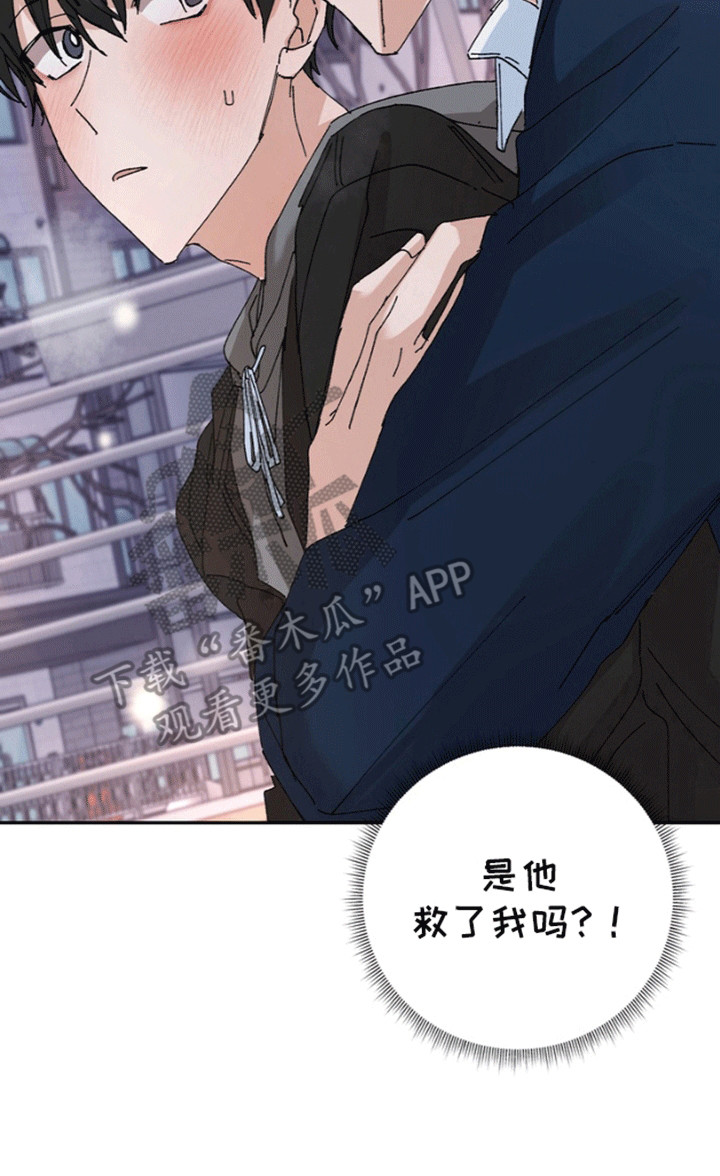 漫画《别样新婚》在线完整版阅读_别样新婚漫画（无弹窗）