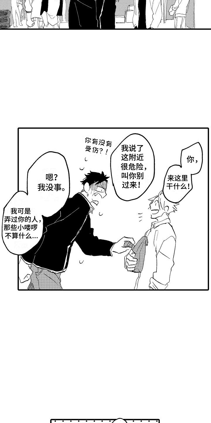 精选《肉食动物》漫画下拉式阅读_汉化肉食动物漫画