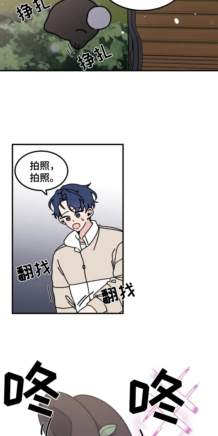 《兔兔王子》漫画全集阅读_兔兔王子漫画（下拉式阅读）