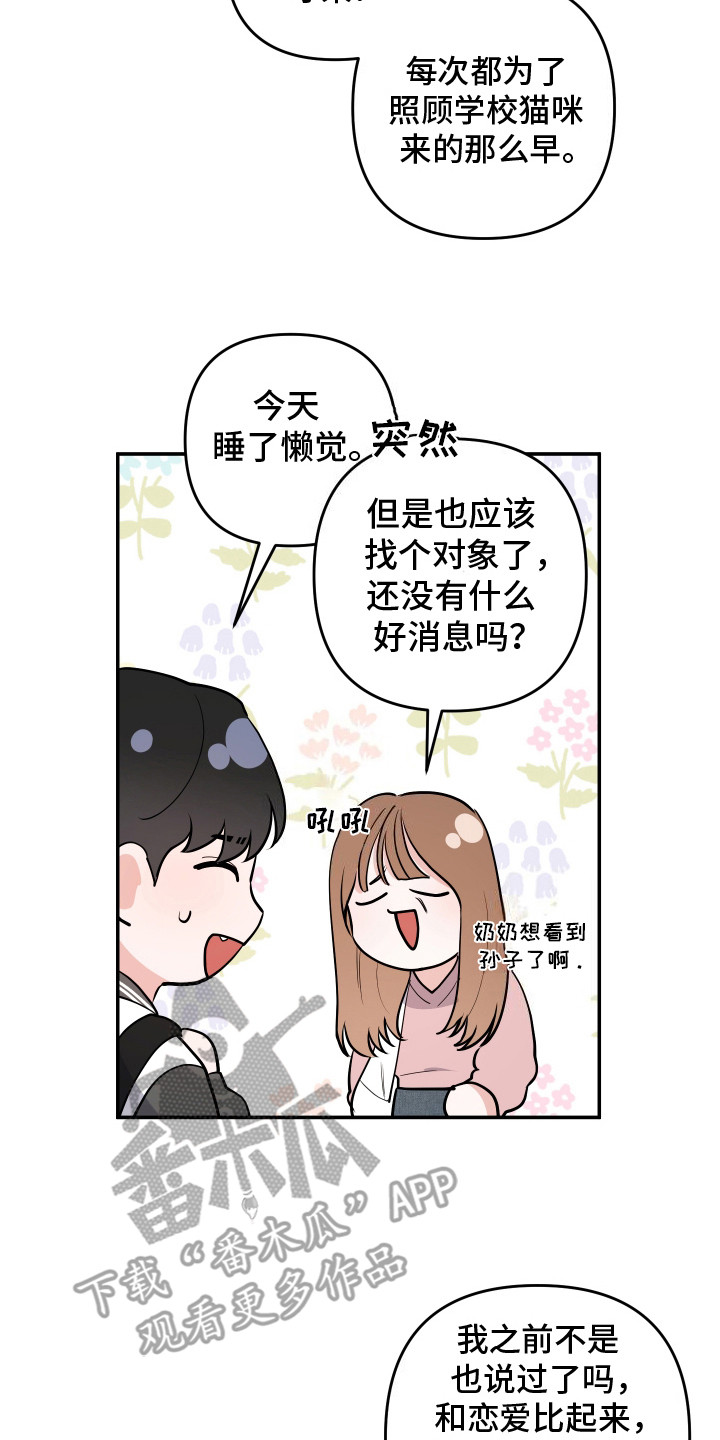 漫画《喵了个咪》在线完整版阅读_喵了个咪漫画（无弹窗）