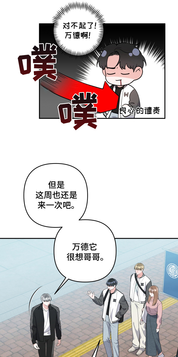 漫画《喵了个咪》在线完整版阅读_喵了个咪漫画（无弹窗）