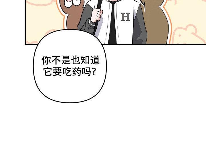 漫画《喵了个咪》在线完整版阅读_喵了个咪漫画（无弹窗）