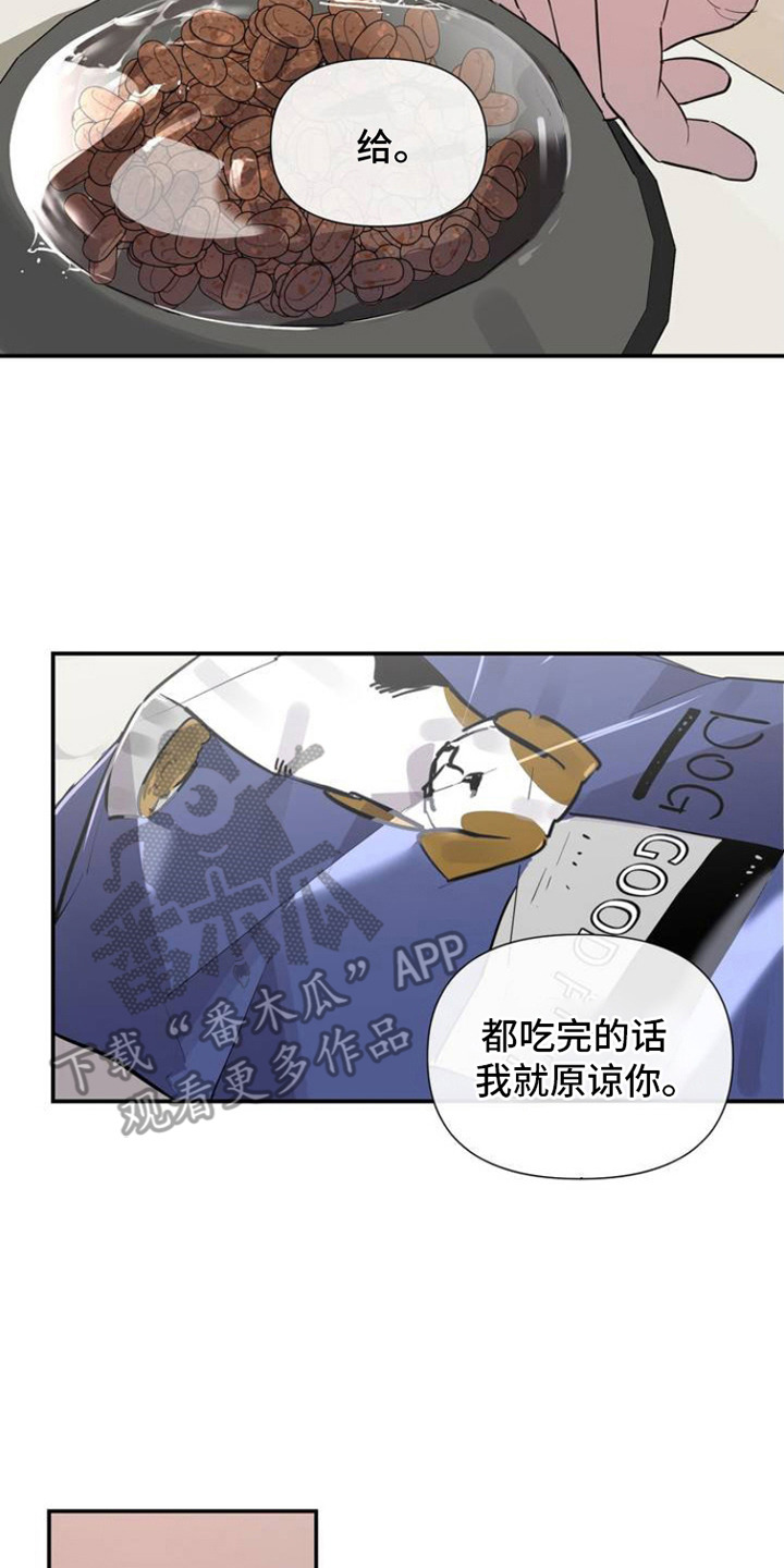 西柚《狗与酒》漫画在线下拉_狗与酒漫画浮云（下拉式阅读）