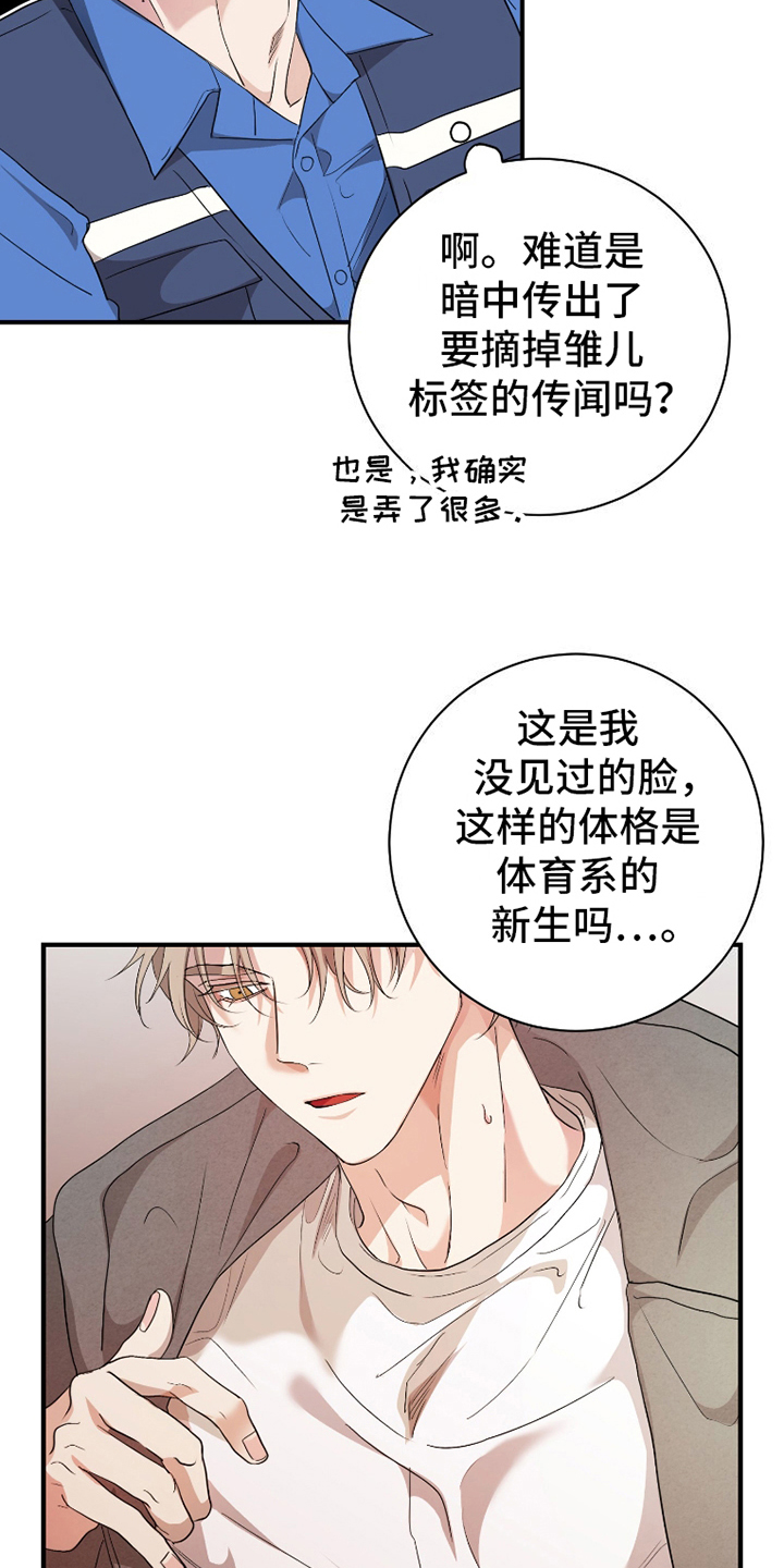 西柚《雏儿杀手》漫画在线下拉_雏儿杀手漫画浮云（下拉式阅读）