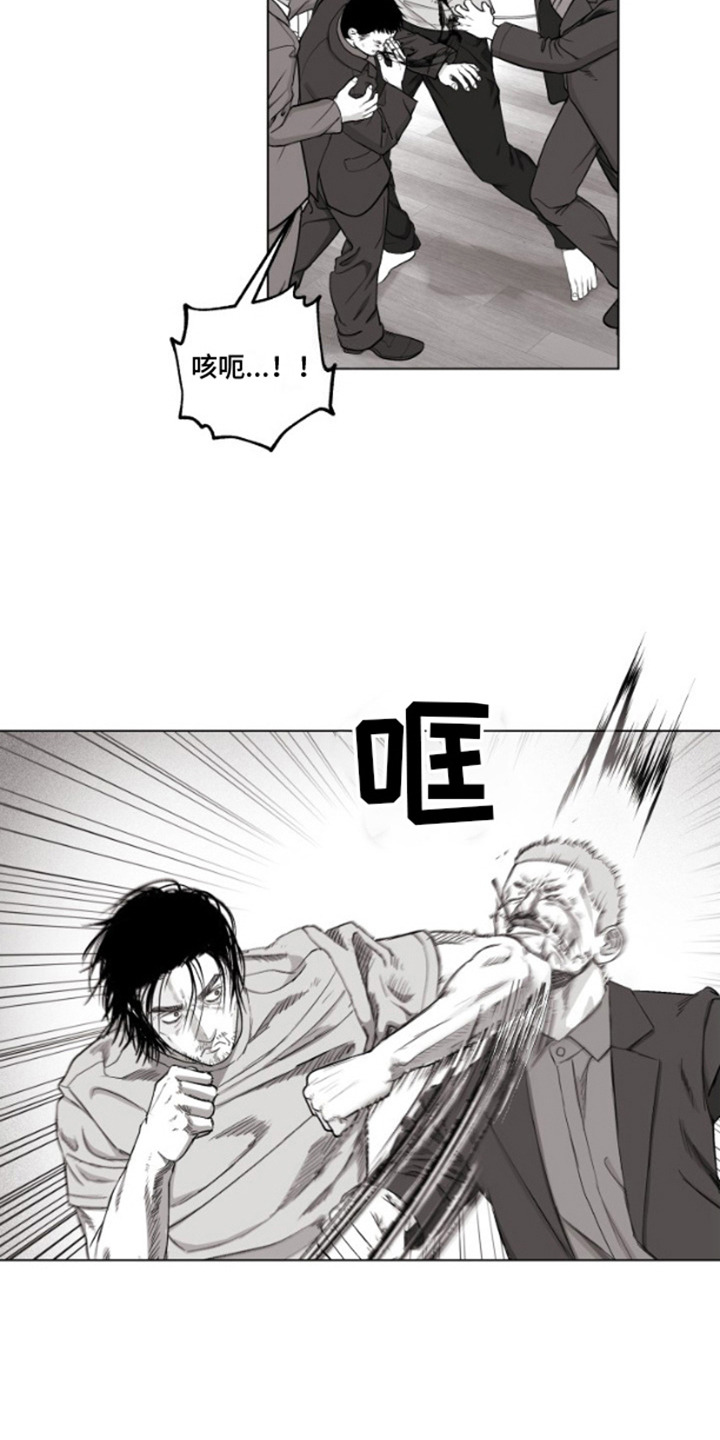 漫画《不屈的冠军》在线完整版阅读_不屈的冠军漫画（无弹窗）