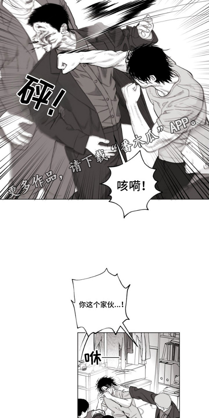 漫画《不屈的冠军》在线完整版阅读_不屈的冠军漫画（无弹窗）