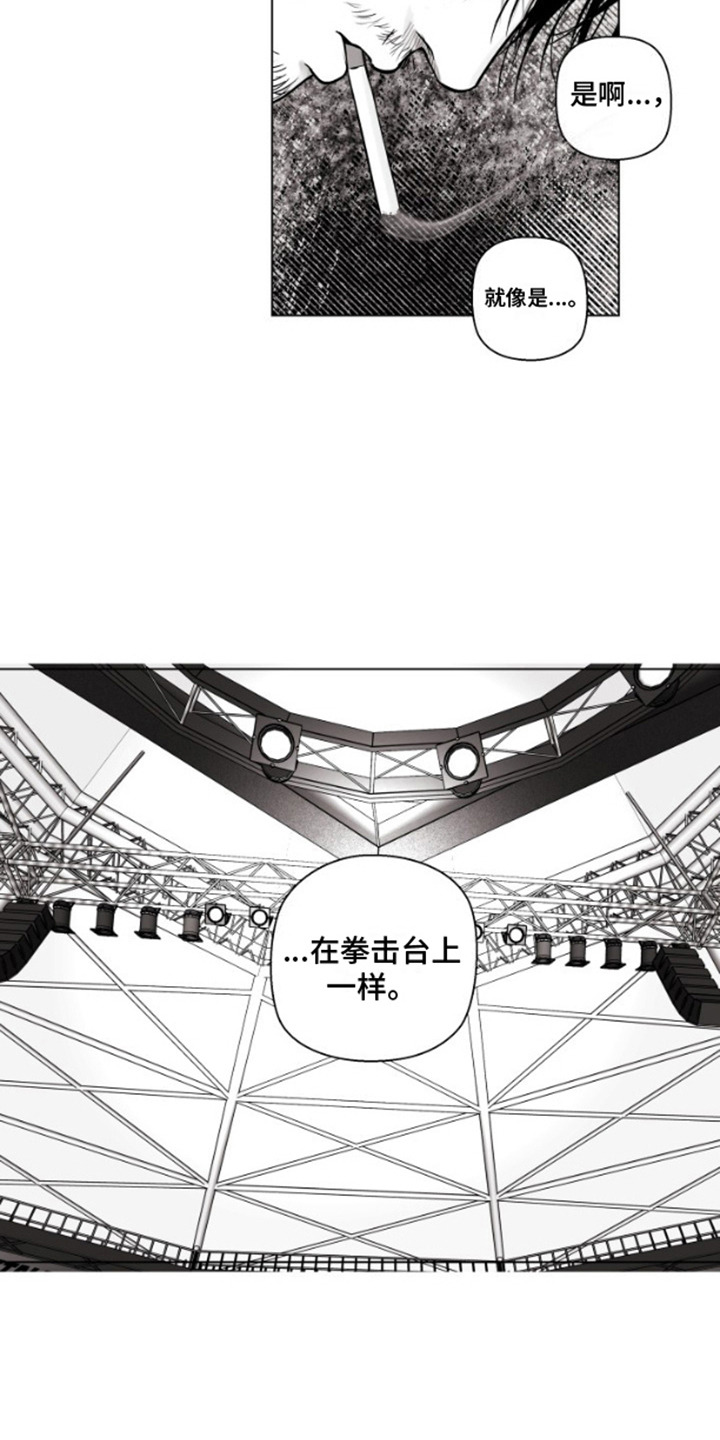 漫画《不屈的冠军》在线完整版阅读_不屈的冠军漫画（无弹窗）