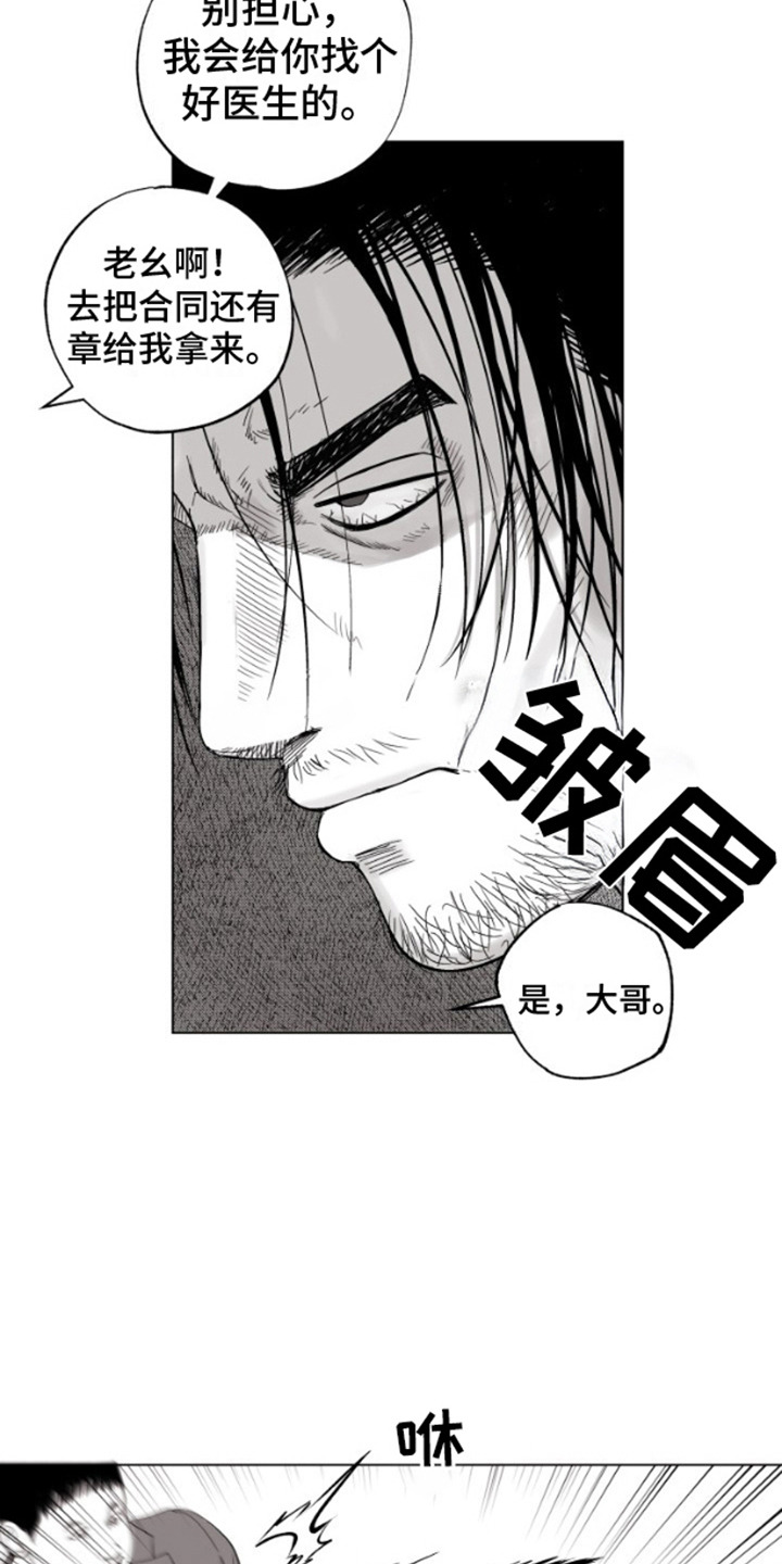 漫画《不屈的冠军》在线完整版阅读_不屈的冠军漫画（无弹窗）