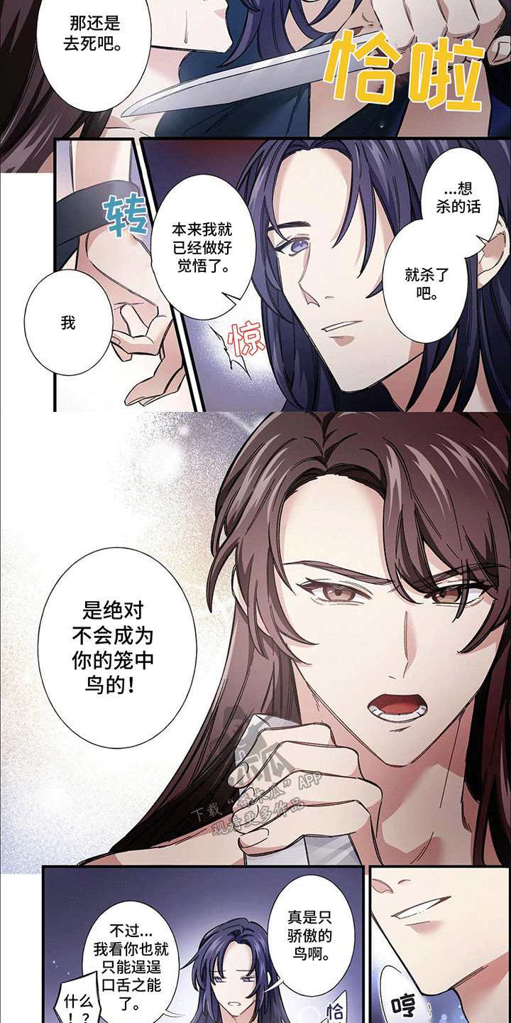 西柚《刺客成妃》漫画在线下拉_刺客成妃漫画浮云（下拉式阅读）