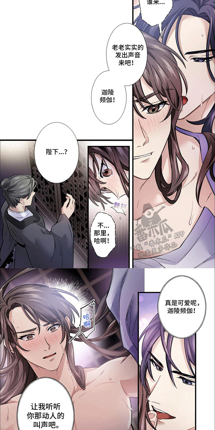 西柚《刺客成妃》漫画在线下拉_刺客成妃漫画浮云（下拉式阅读）