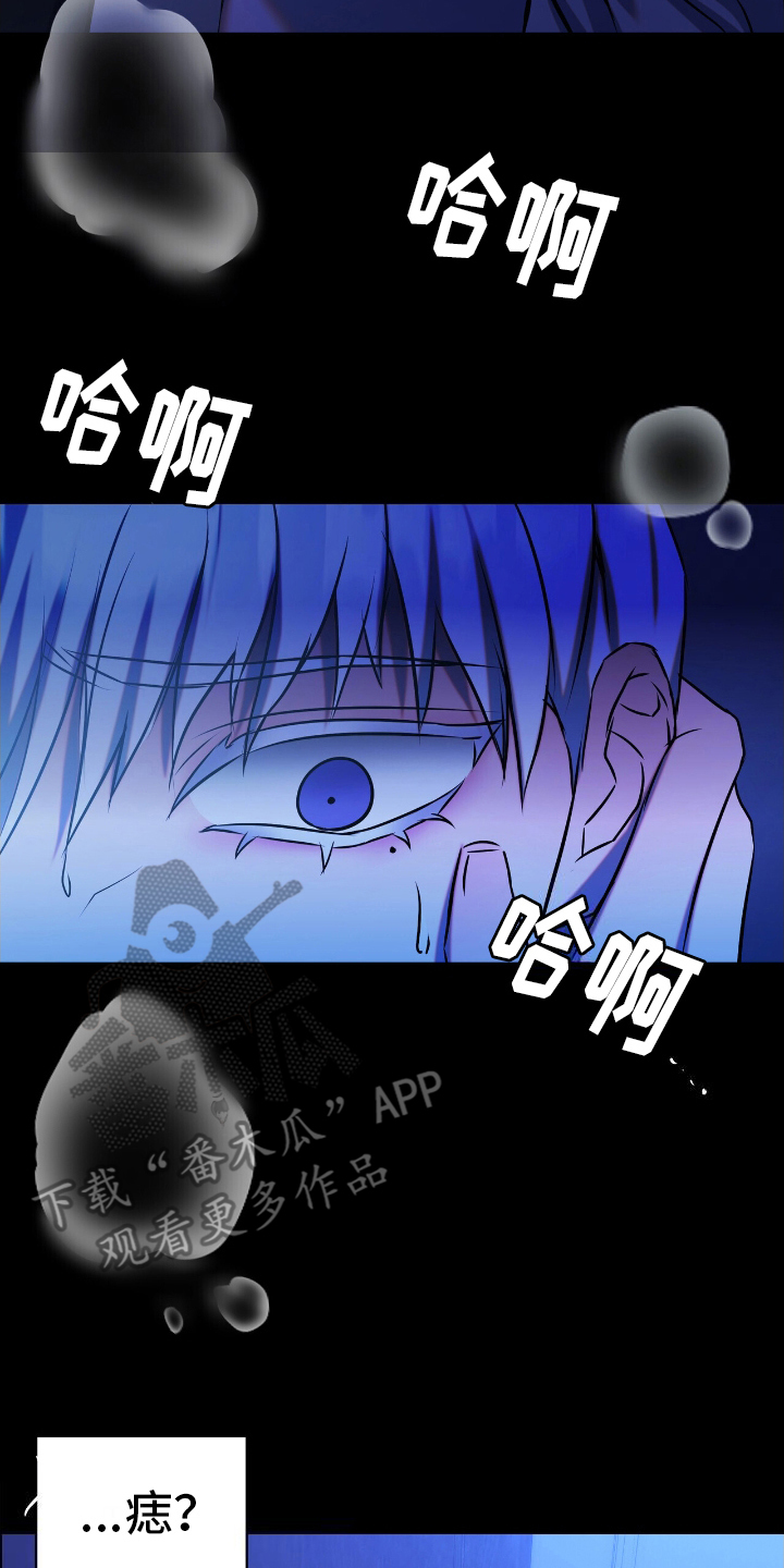 西柚《绝密计划》漫画在线下拉_绝密计划漫画浮云（下拉式阅读）