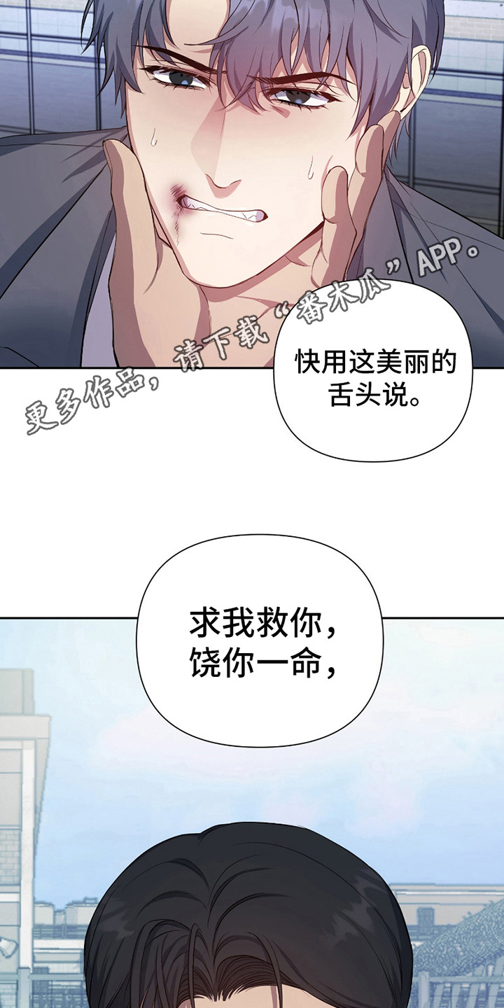 漫画《毒蛇陷阱》在线完整版阅读_毒蛇陷阱漫画（无弹窗）