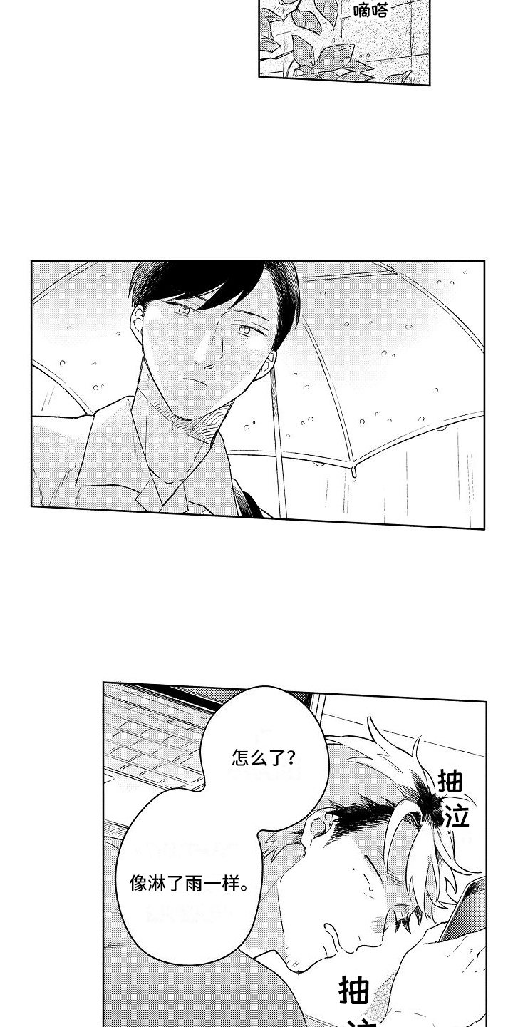西柚《春风吹向失恋的人》漫画在线下拉_春风吹向失恋的人漫画浮云（下拉式阅读）