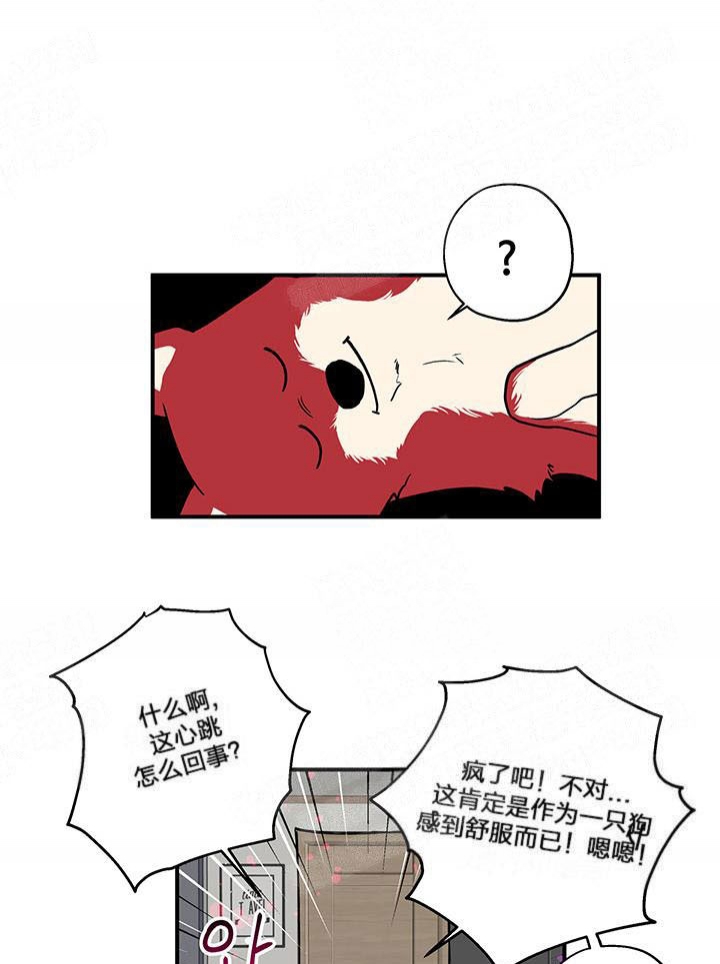 西柚《引狼入室》漫画在线下拉_引狼入室漫画浮云（下拉式阅读）