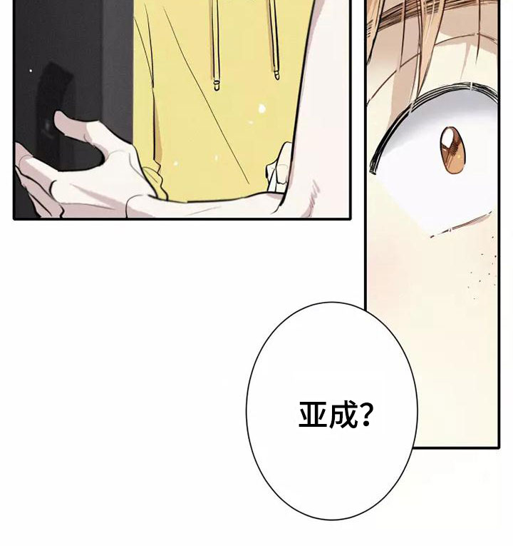 西柚《念念不忘》漫画在线下拉_念念不忘漫画浮云（下拉式阅读）