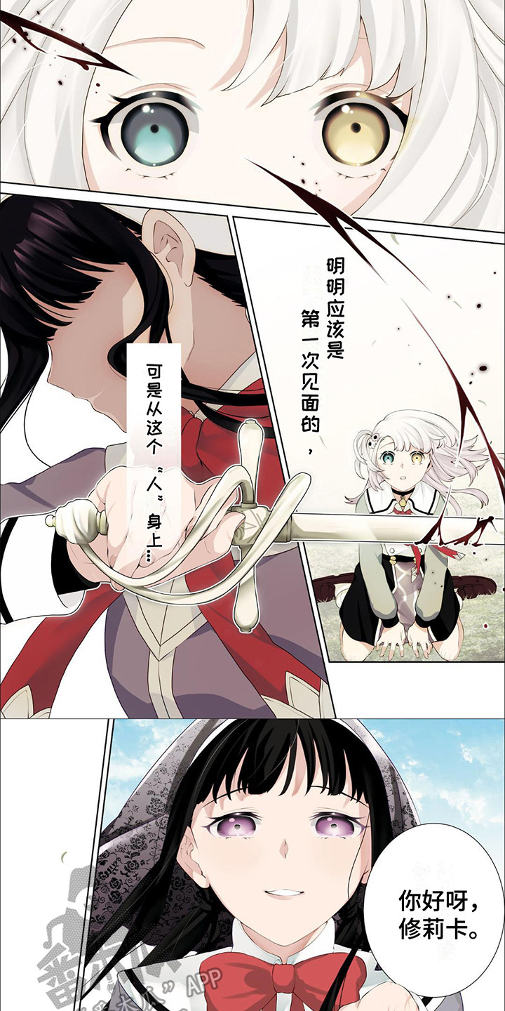 精选《僵尸少女与圣骑士》漫画下拉式阅读_汉化僵尸少女与圣骑士漫画