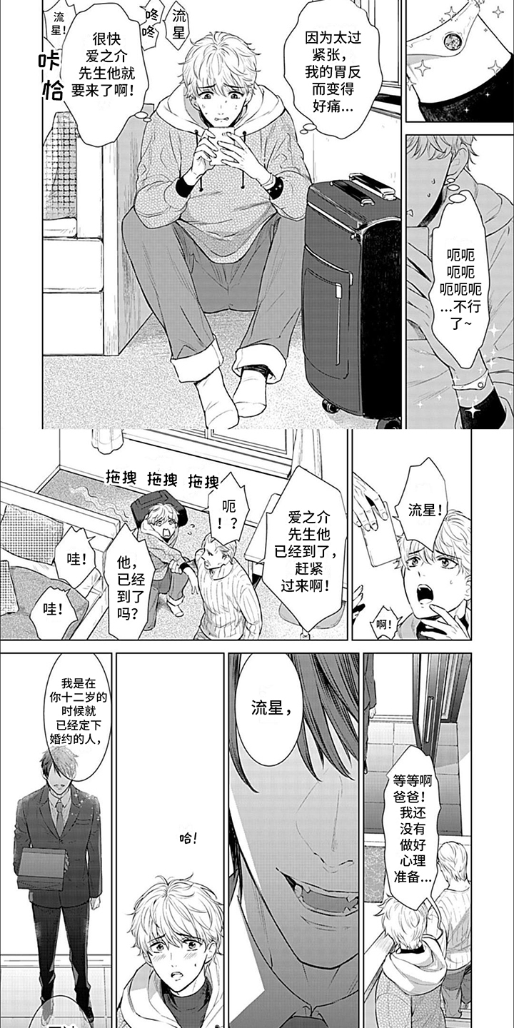 漫画《完美适配》在线完整版阅读_完美适配漫画（无弹窗）