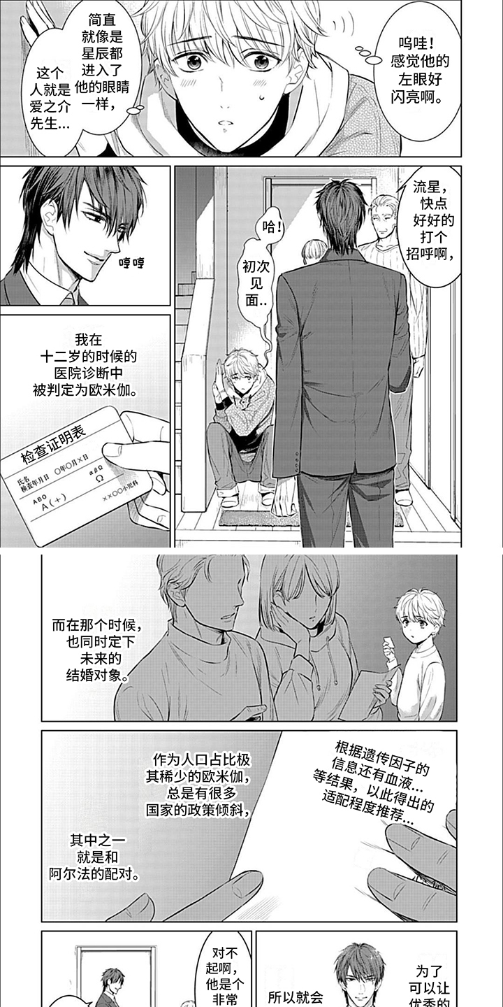 漫画《完美适配》在线完整版阅读_完美适配漫画（无弹窗）