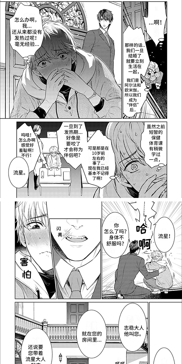 漫画《完美适配》在线完整版阅读_完美适配漫画（无弹窗）