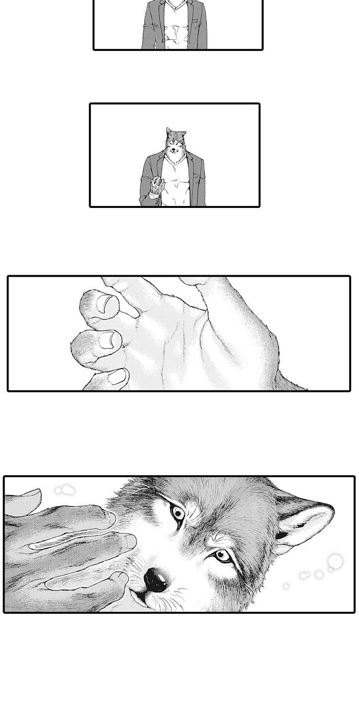 西柚《毛绒绒男友》漫画在线下拉_毛绒绒男友漫画浮云（下拉式阅读）