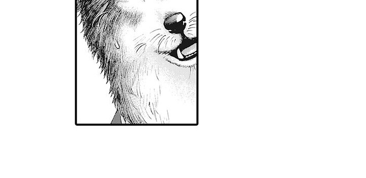西柚《毛绒绒男友》漫画在线下拉_毛绒绒男友漫画浮云（下拉式阅读）
