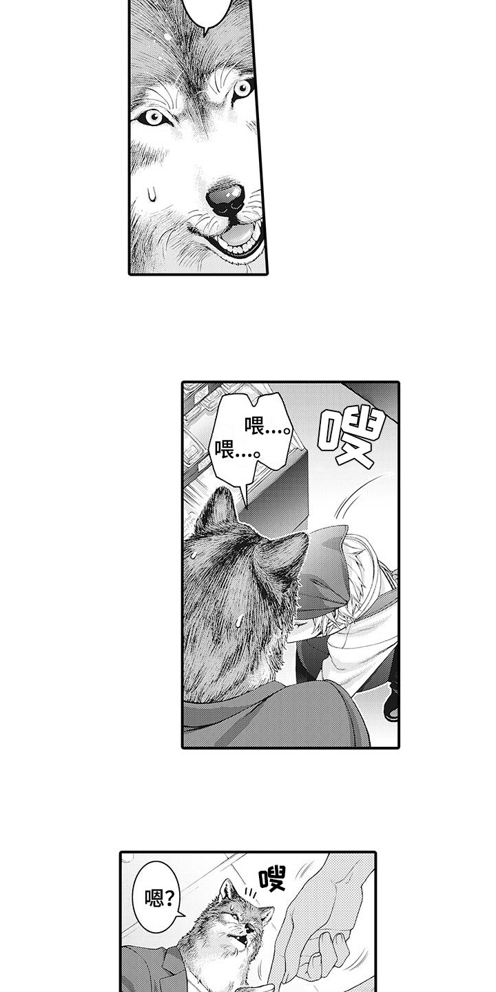西柚《毛绒绒男友》漫画在线下拉_毛绒绒男友漫画浮云（下拉式阅读）