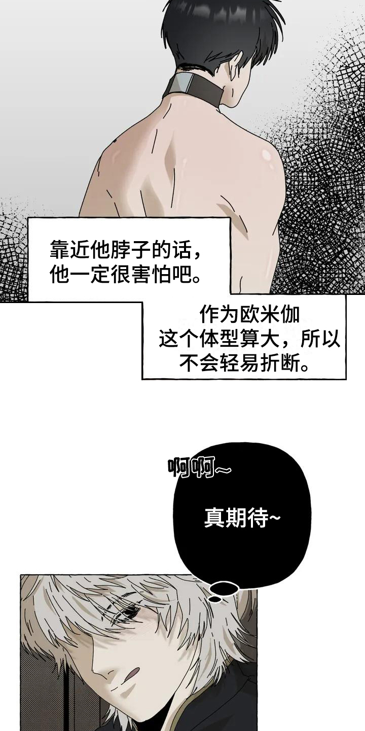 漫画《倒三角》在线完整版阅读_倒三角漫画（无弹窗）