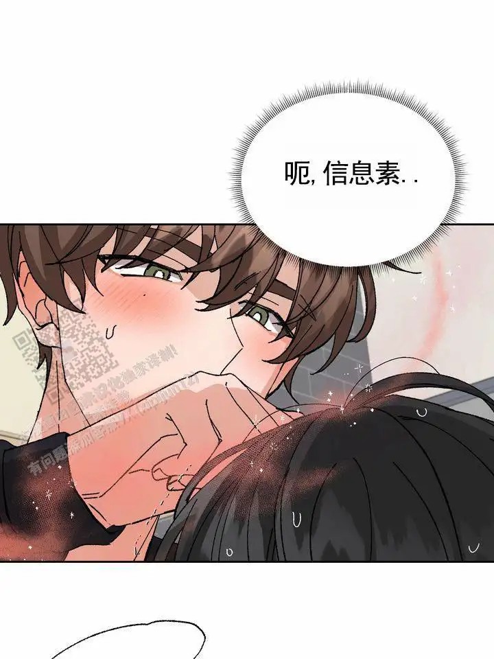 漫画《奇异夫妇》在线阅读_奇异夫妇，别样新婚漫画（无弹窗）