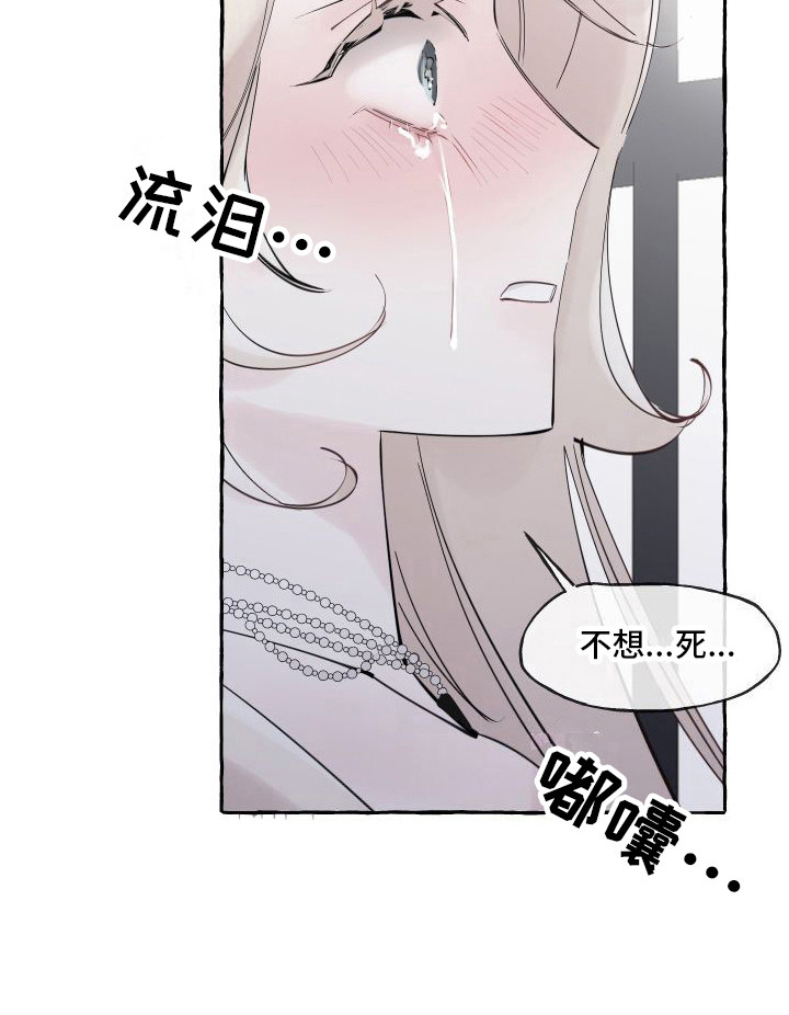 漫画《春与冬的边界》在线完整版阅读_春与冬的边界漫画（无弹窗）