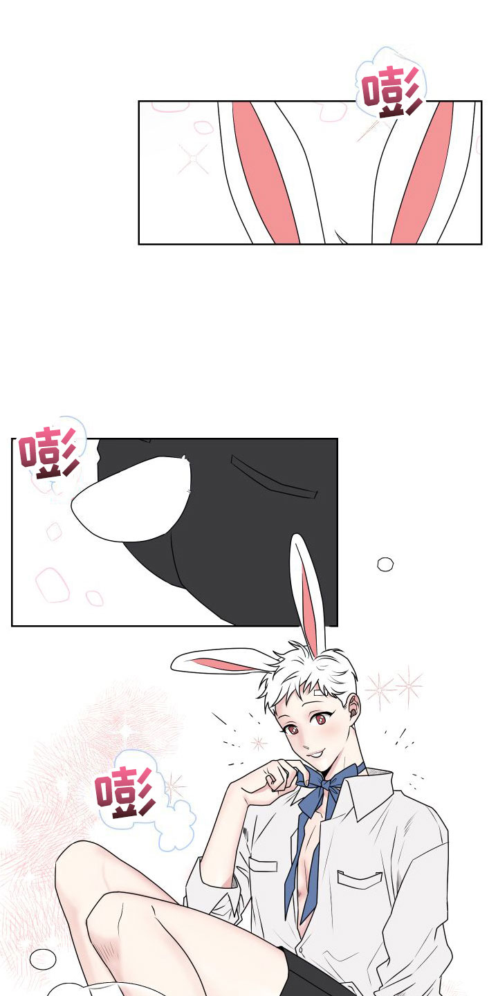 漫画《囚兔传》在线完整版阅读_囚兔传漫画（无弹窗）