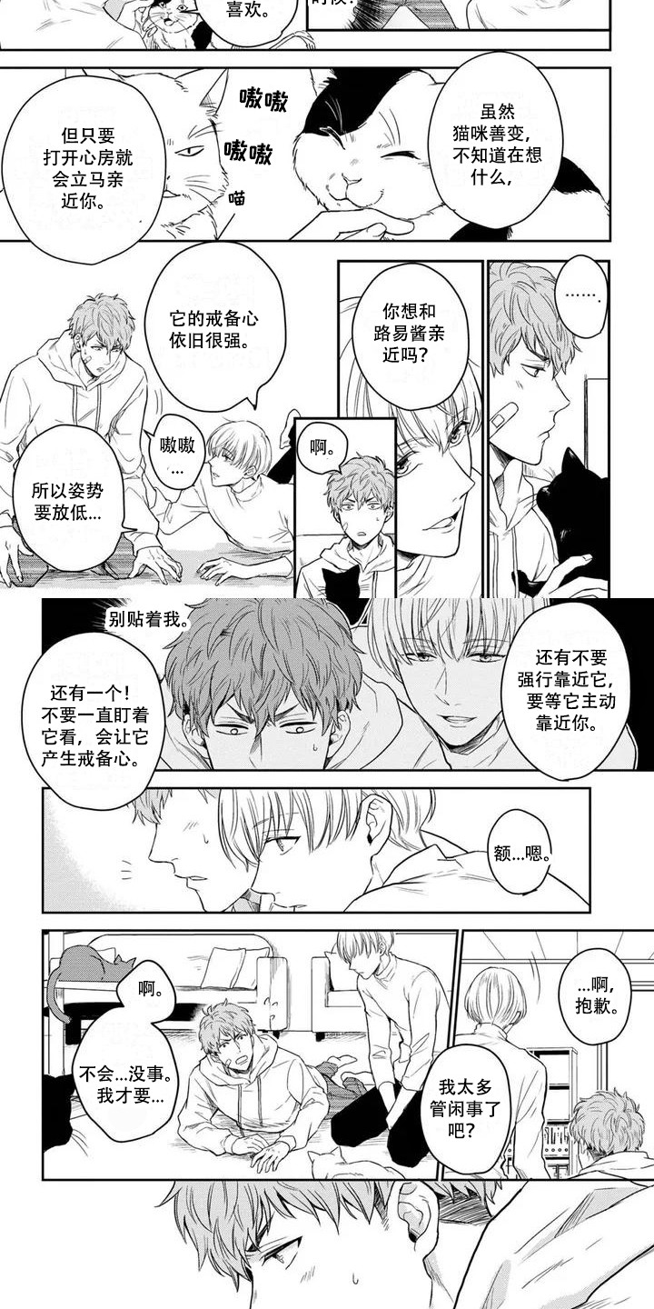 漫画《猫系男孩》在线完整版阅读_猫系男孩漫画（无弹窗）