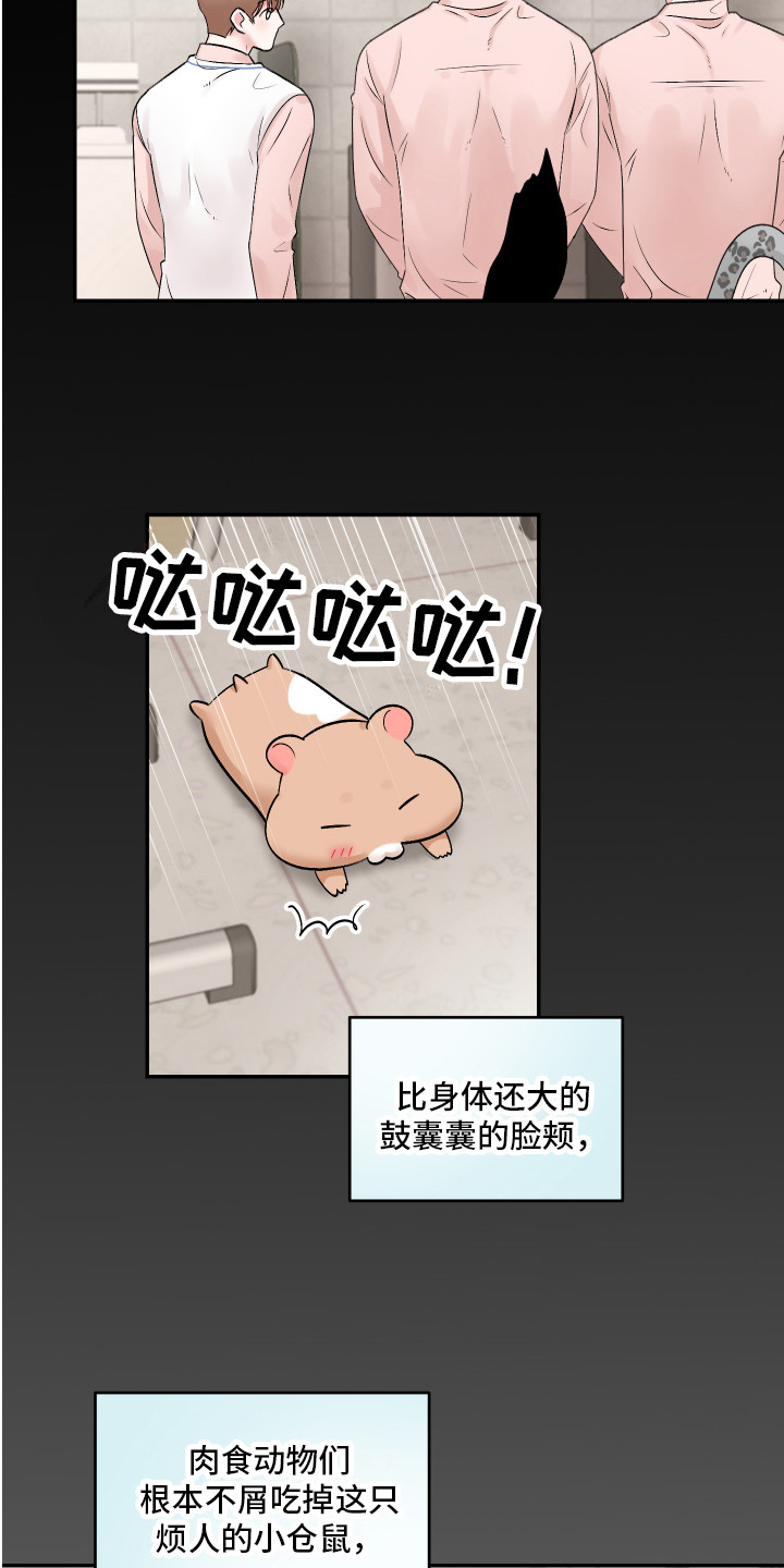 漫画《吃掉大仓鼠》在线完整版阅读_吃掉大仓鼠漫画（无弹窗）
