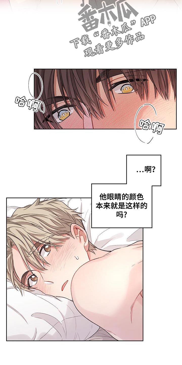 漫画《可疑的房东》在线阅读_可疑的房东漫画（无弹窗）