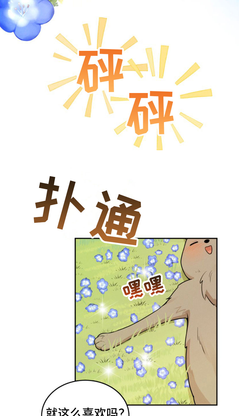 西柚《萌兔来袭》漫画在线下拉_萌兔来袭漫画浮云（下拉式阅读）