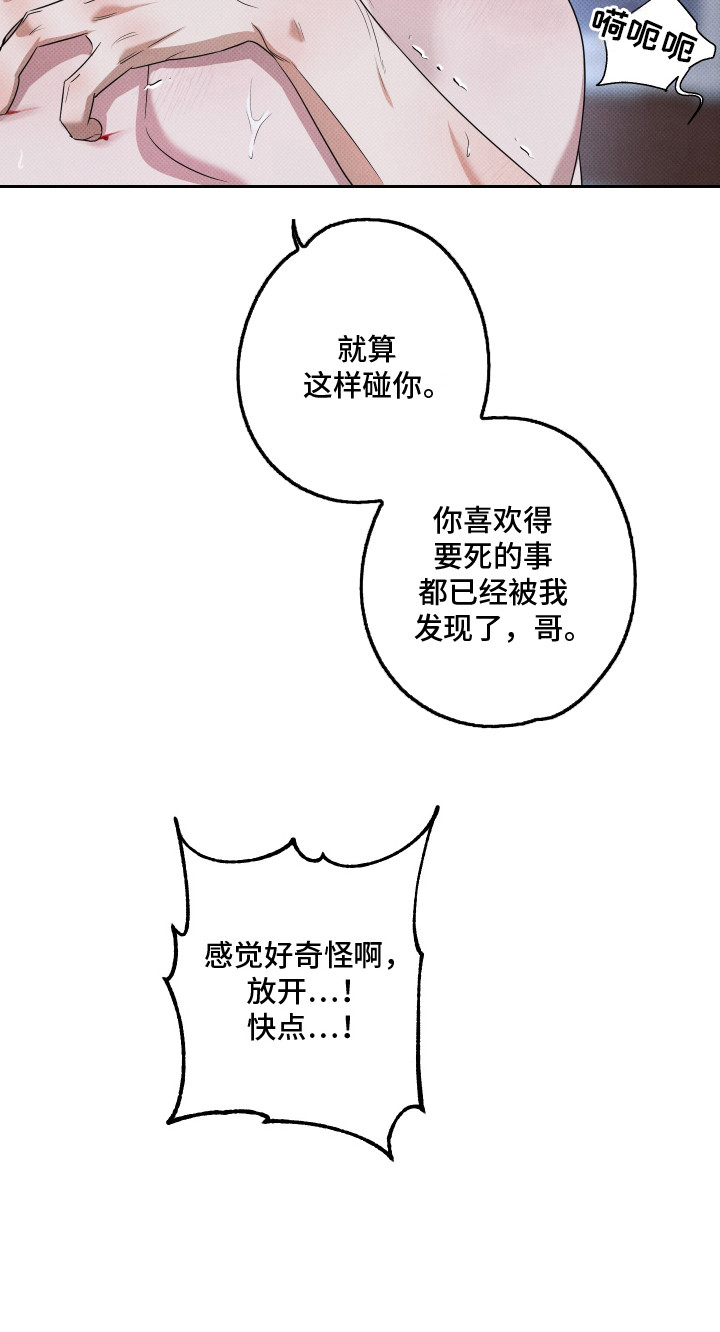 漫画《智齿之恋》在线阅读_智齿之恋，报恩的喜鹊漫画（无弹窗）