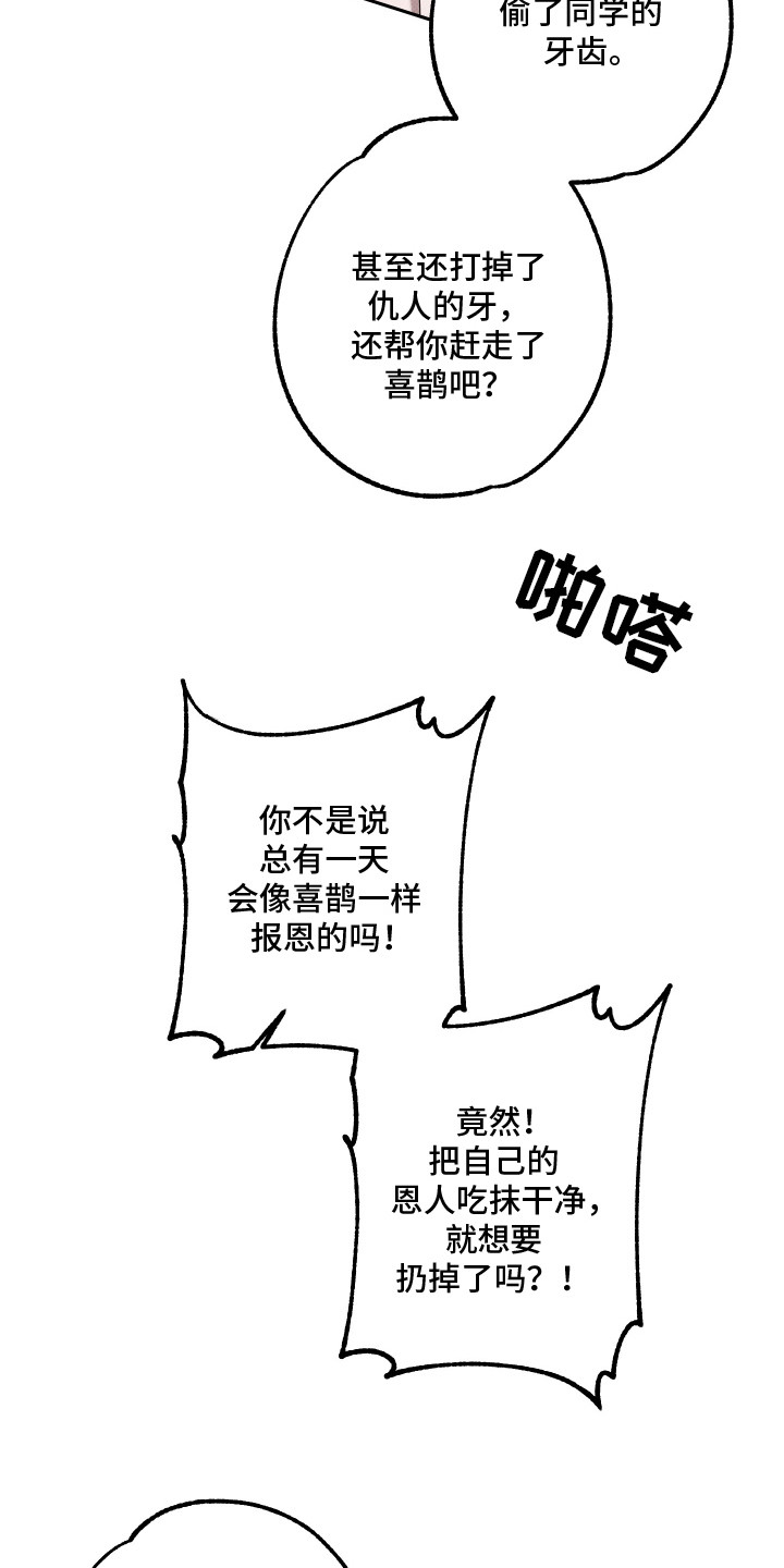 漫画《智齿之恋》在线阅读_智齿之恋，报恩的喜鹊漫画（无弹窗）