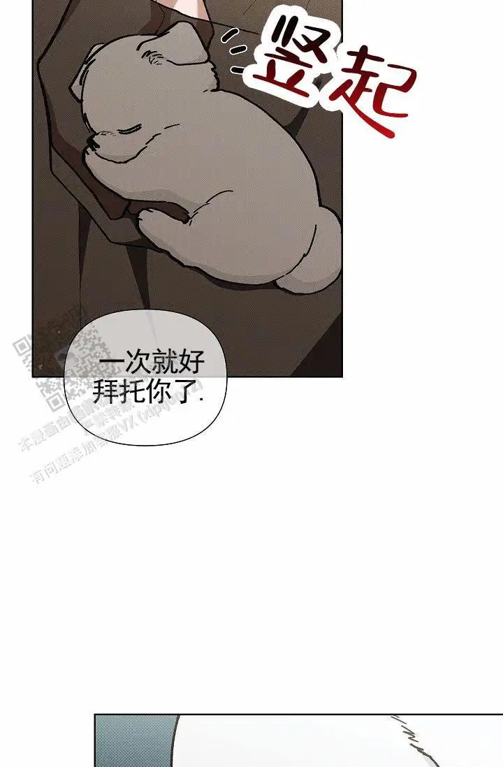 漫画《不要招惹小狗》在线阅读_不要招惹小狗漫画（无弹窗）