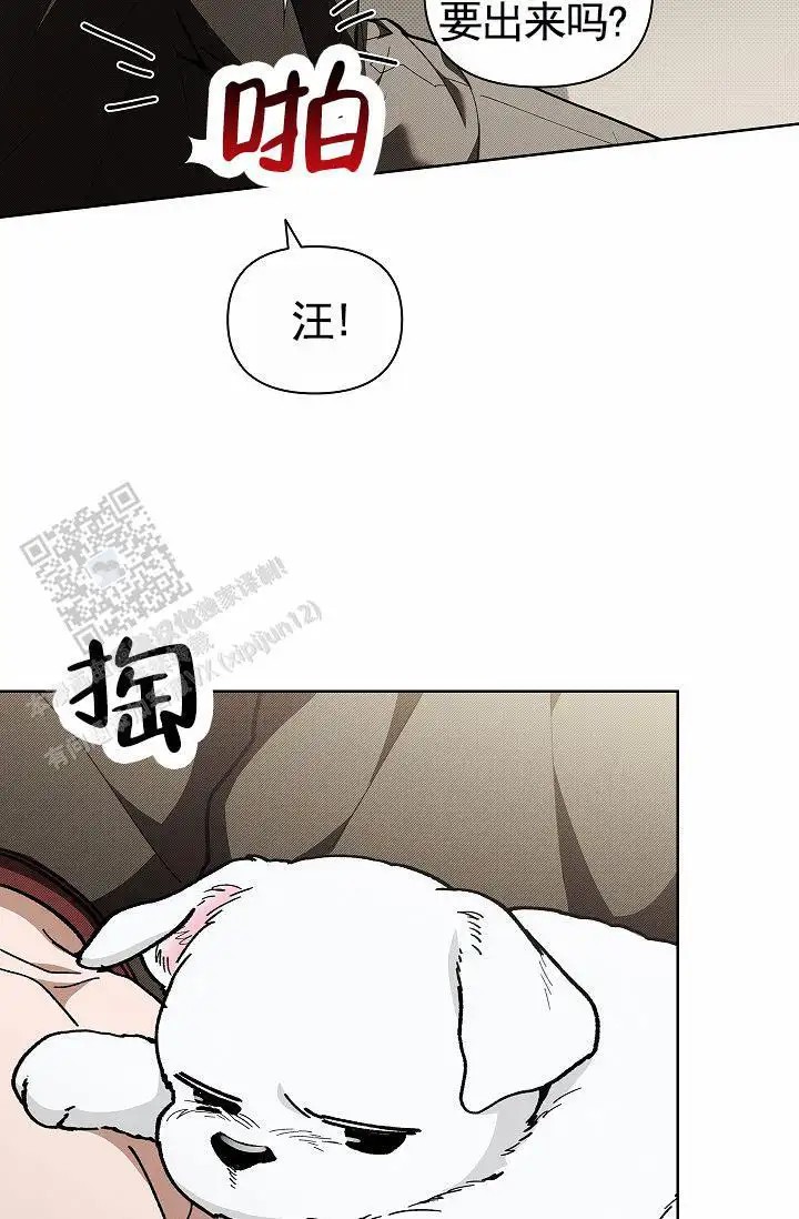 漫画《不要招惹小狗》在线阅读_不要招惹小狗漫画（无弹窗）