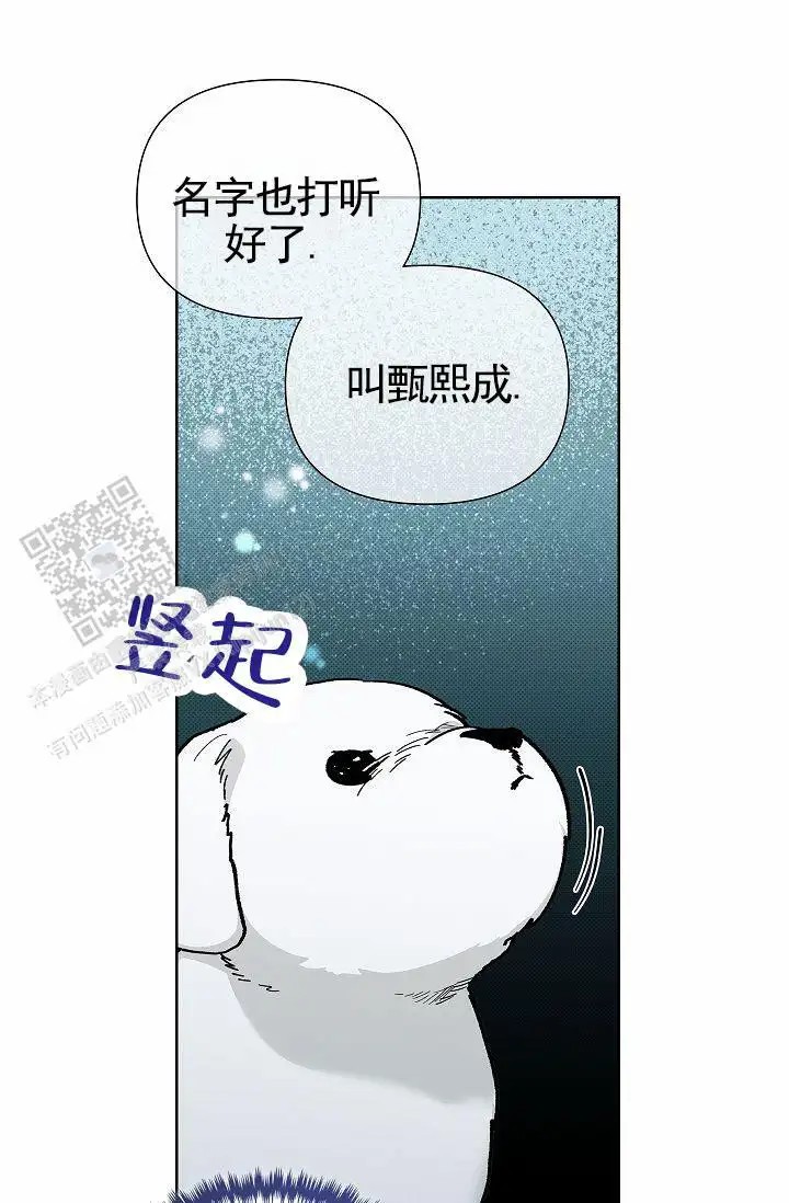 漫画《不要招惹小狗》在线阅读_不要招惹小狗漫画（无弹窗）